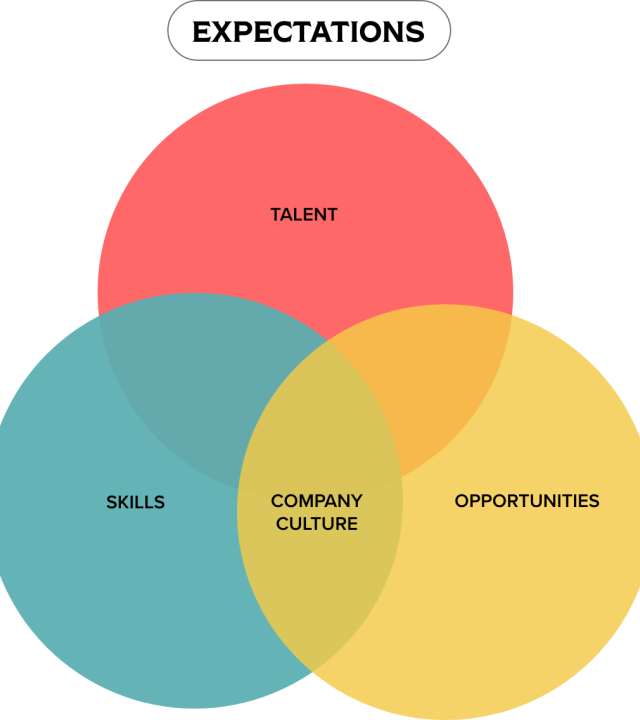 pie chart 1